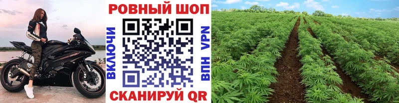 Наркотические вещества Заозёрный Канабис  ТГК  Гашиш  АМФЕТАМИН 