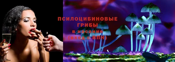 трава Гусев