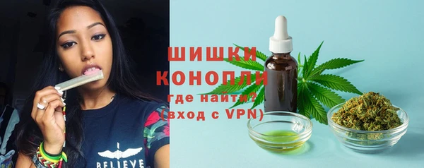 стафф Гусь-Хрустальный