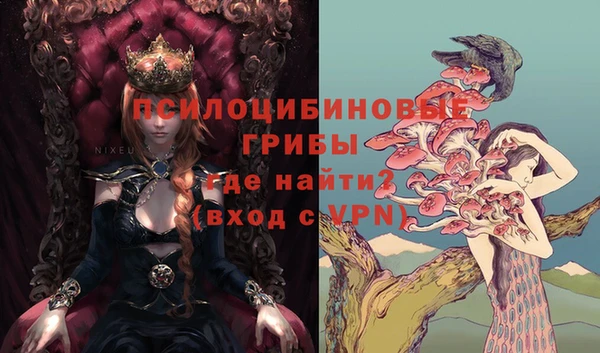 спиды Горно-Алтайск