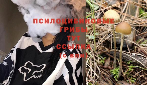 спайс Гусиноозёрск