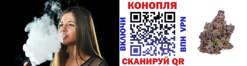 Бошки Шишки ГИДРОПОН  Заозёрный 